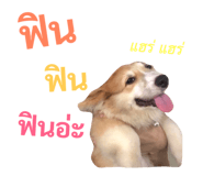 89382292