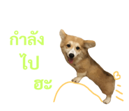 89382294