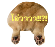 89382298