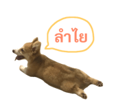 89382299