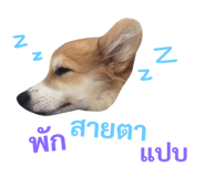 89382300