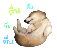 89382301