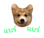 89382302