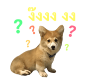 89382303