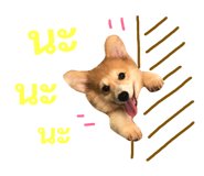 89382307