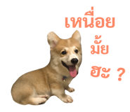 89382309