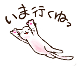 8943307