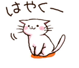 8943323