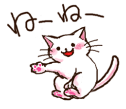 8943325
