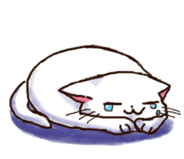 8943334