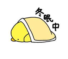 8945497