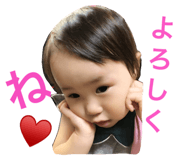 89604225