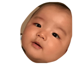 89605594
