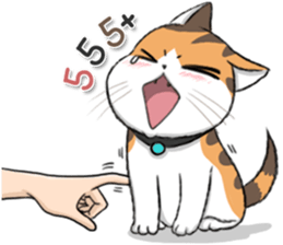 8965355