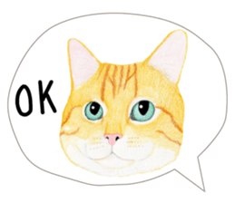 8966920