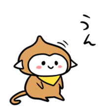 8972116