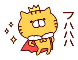 8976566