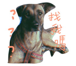 89820886