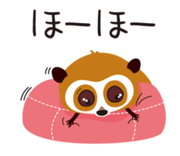 8982428