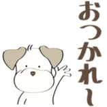 89877647