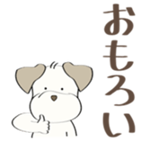 89877649