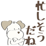 89877650