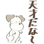 89877656