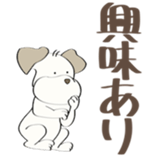 89877662
