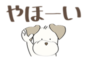 89877675