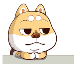 89904878