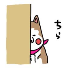 8992648