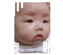 89932991