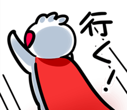 8997605