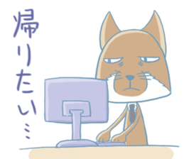8997832