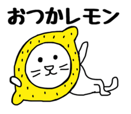8999141