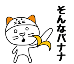8999148
