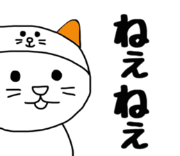 8999173