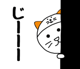 8999174