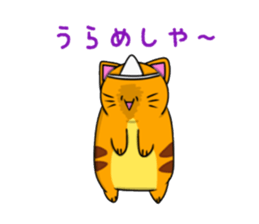 9000377