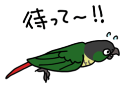 9001313