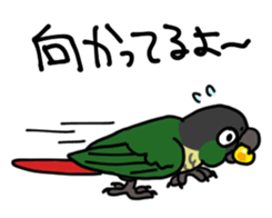9001332