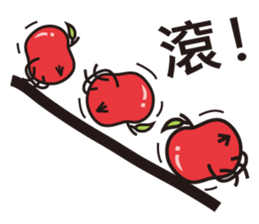 9007776