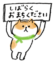 9010894