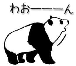 9011916