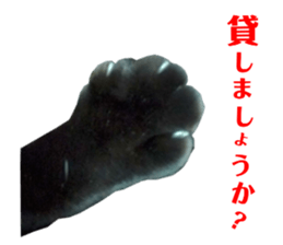 90276879