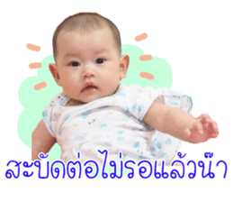 90288733