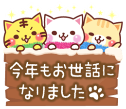 9031020
