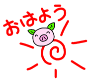 9031080