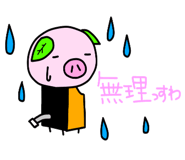 9031116
