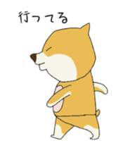 90327907